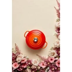 Le Creuset Cocotte Fonte Rond 26 Cm Volcanique 8 Le Creuset Cocotte Fonte Rond 26 Cm Volcanique -Casserole & Saveurs Magasin 213185 3 3 Cocotte fonte rond 26 cm volcanique Le Creuset